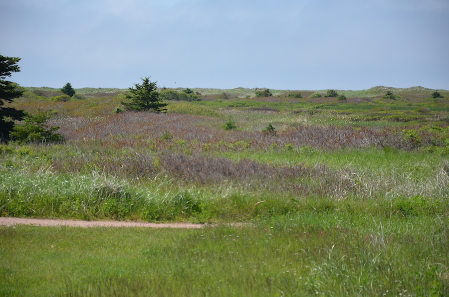 The site where coal mine buildings and shafts once stood