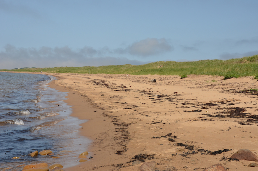 The western beach from its southeastern end