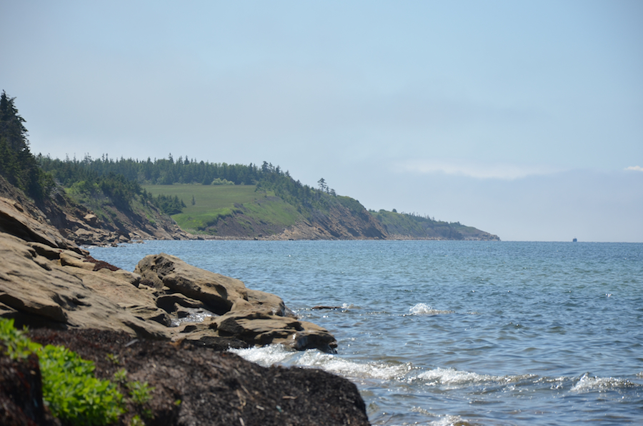 The shore south of the end of the beach