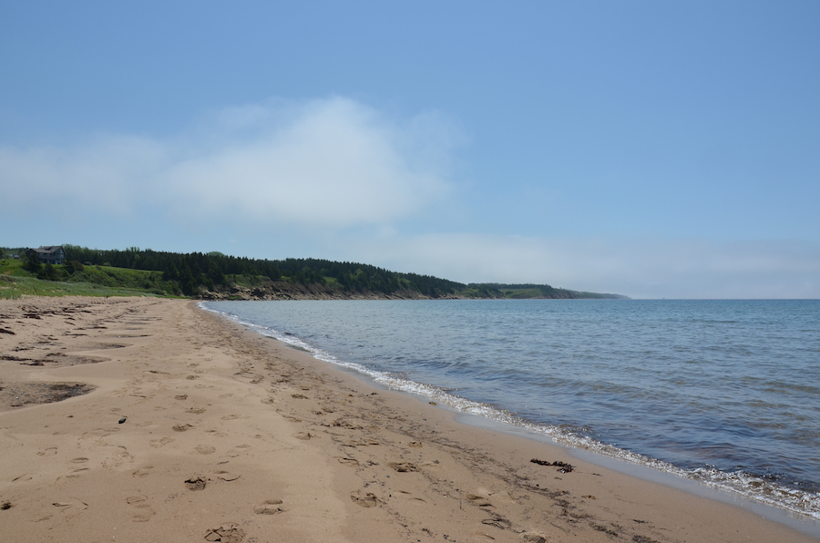 The western beach from ⅔ of the way from Shipping Point