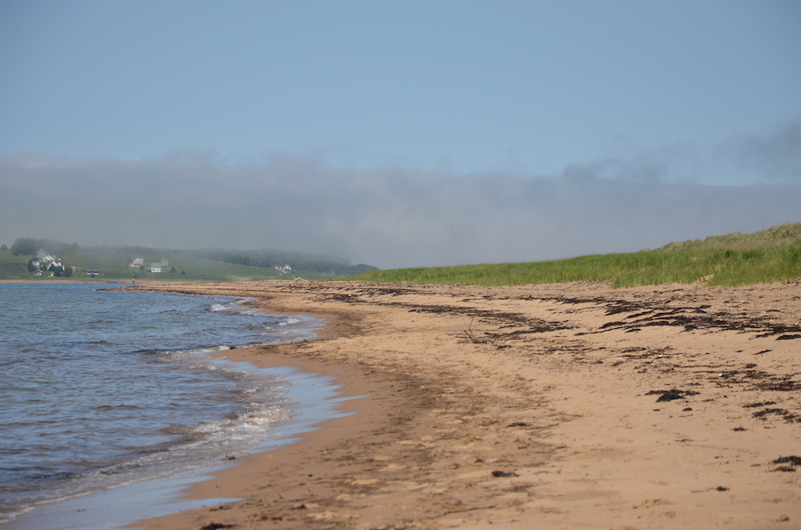 Looking up the western beach