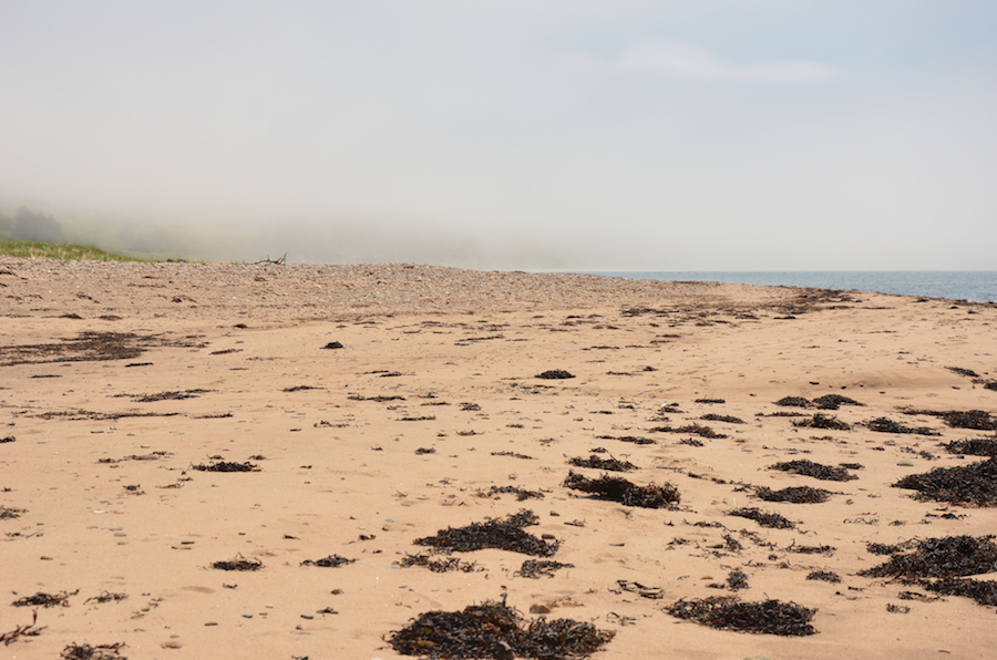 The beach looking south from near Shipping Point