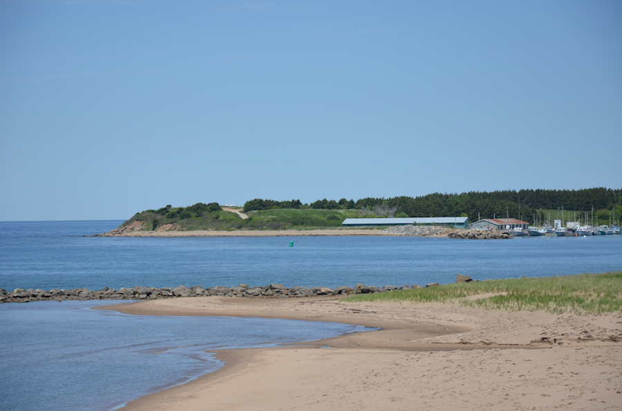Murphys Point and the Murphys Pond Marina
