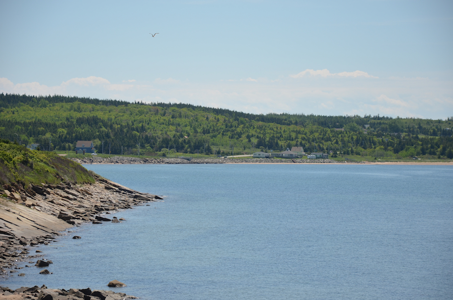 The southeastern corner of Port Hood Harbour