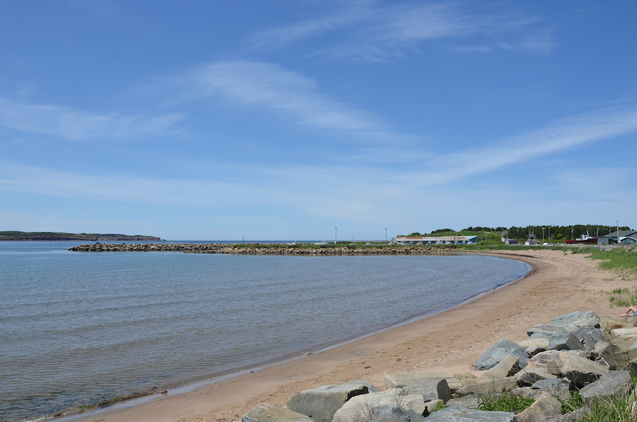Murphys Pond Beach and the Murphys Pond marina