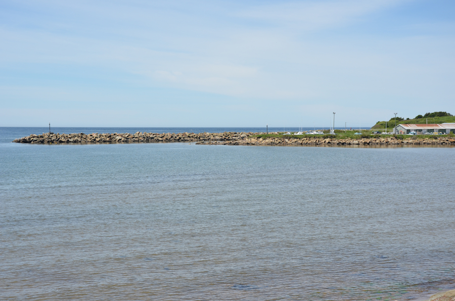 Murphys Pond Marina