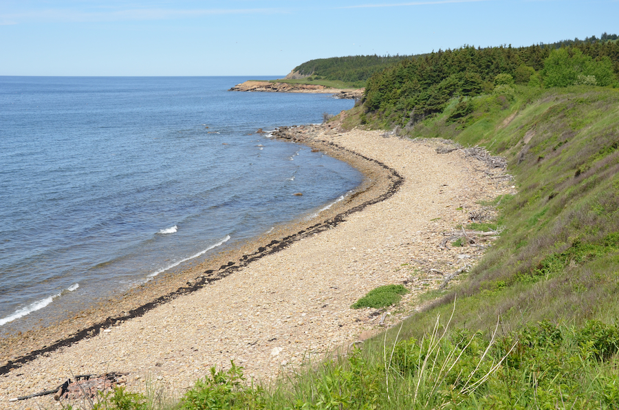 The gravel beach below Murphys Point Look-Off