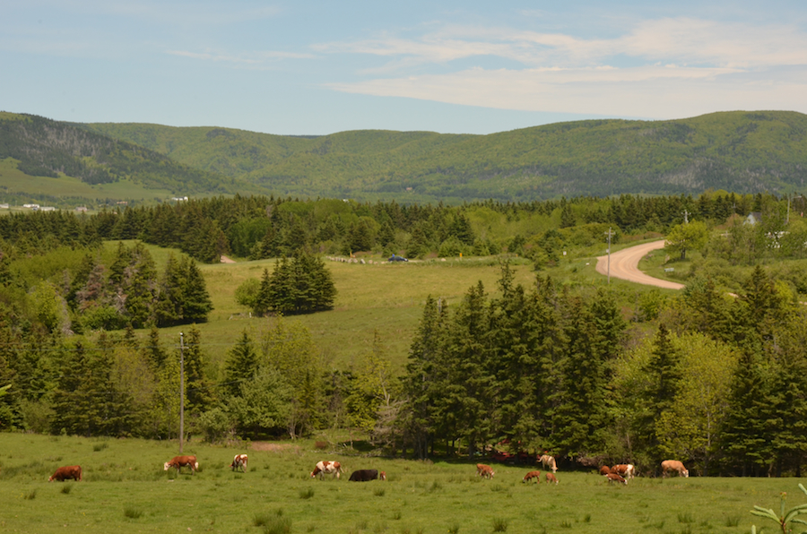 The Cape Mabou Highlands from the Colindale Road