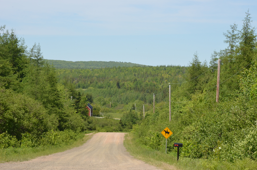 Looking north along the Glencoe Road