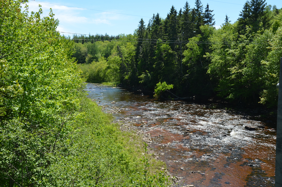 The Southwest Mabou River just upstream of Long John’s Bridge