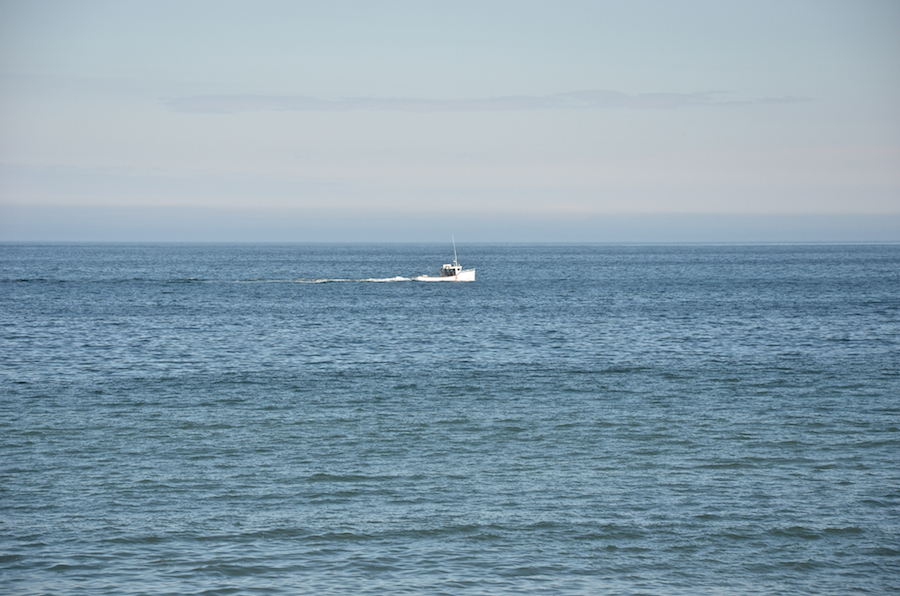 Lobster boat on Aspy Bay