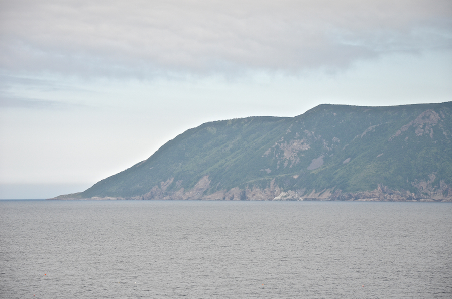 Cape North