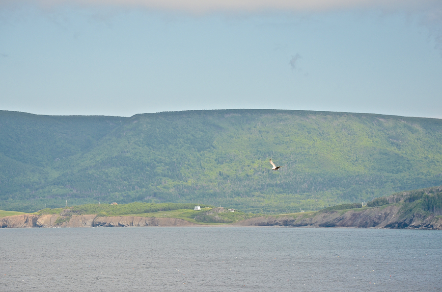 Looking east along the Bay St Lawrence shores
