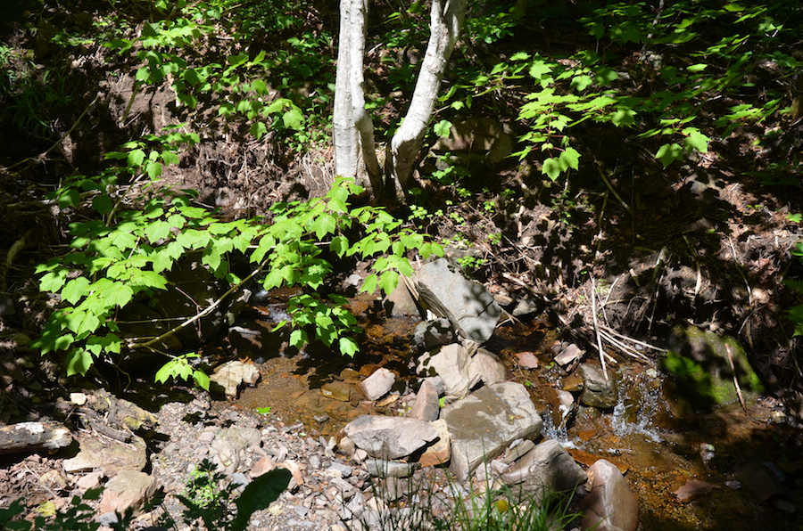 The unnamed brook further up the mountain