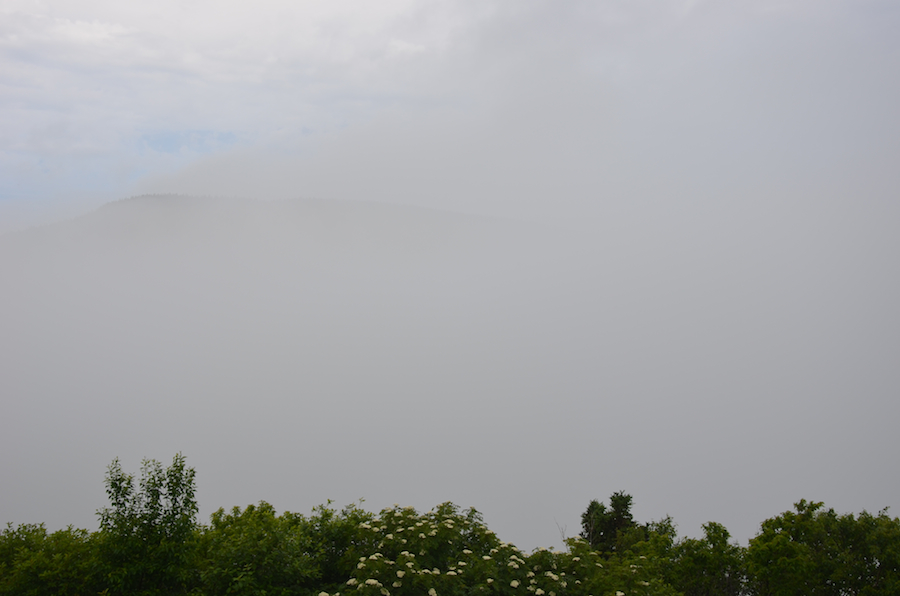 A foggy morning in Meat Cove from the Hines Oceanview Lodge