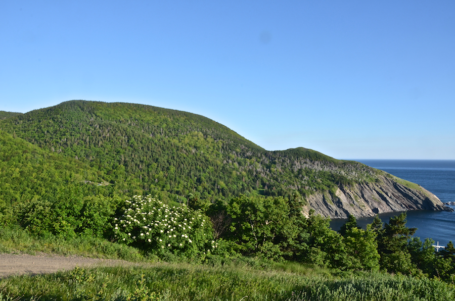 The western Highlands above Meat Cove from the Hines Oceanview Lodge