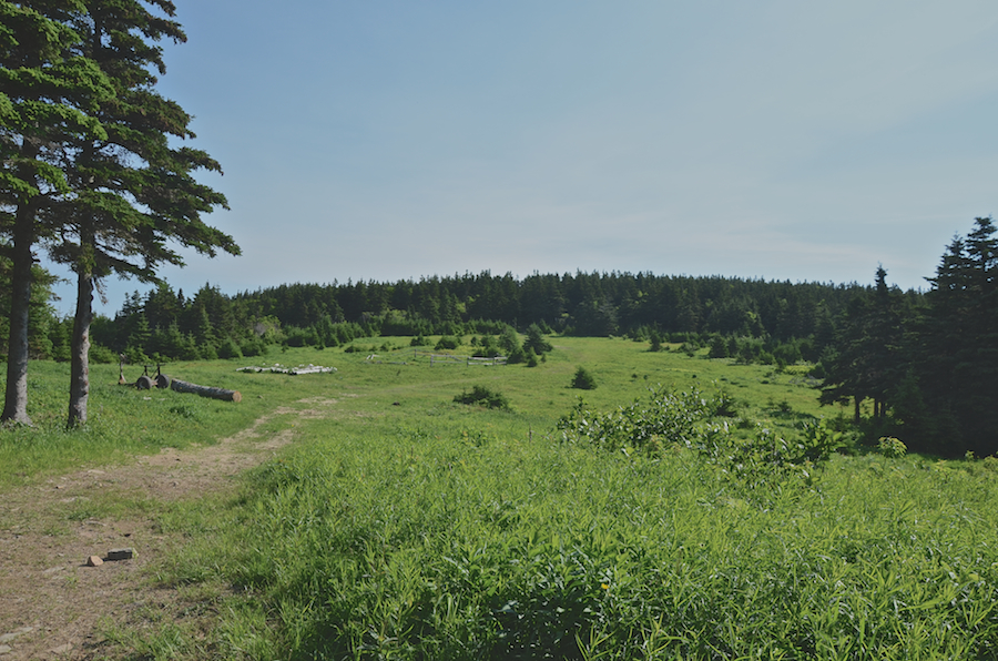 The old Fraser homestead