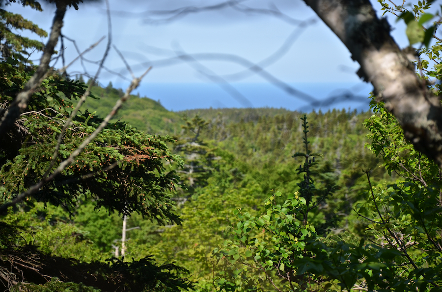 First view of the Gulf of St Lawrence from the Cape St Lawrence Trail