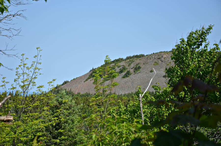 First view of the western end of Bear Hill