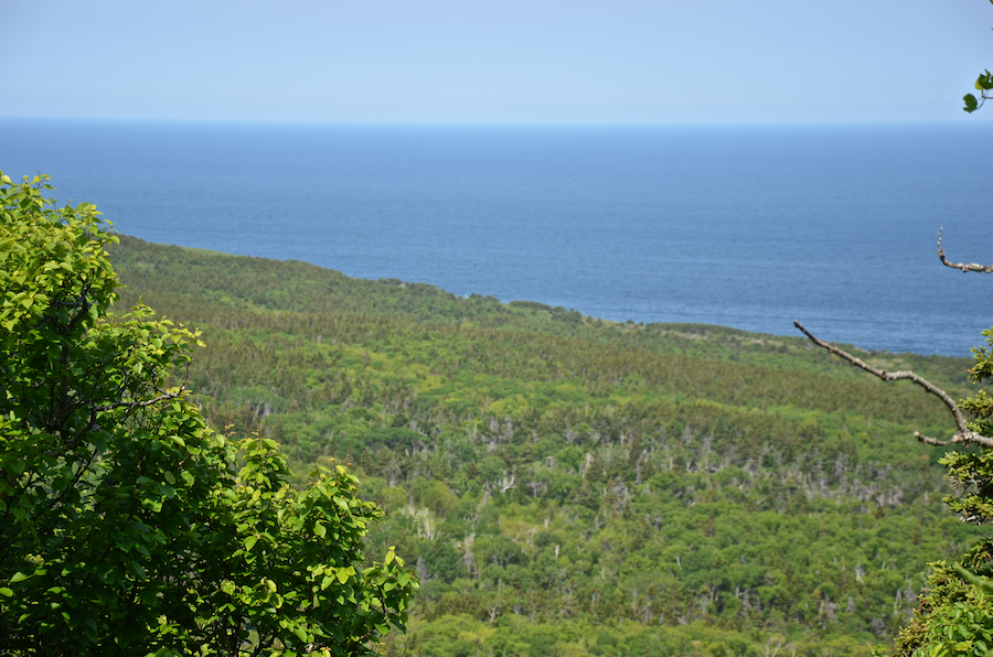 The coastal area south of Cape St Lawrence
