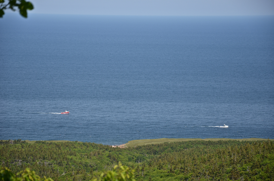 The coastal plain south of Cape St Lawrence