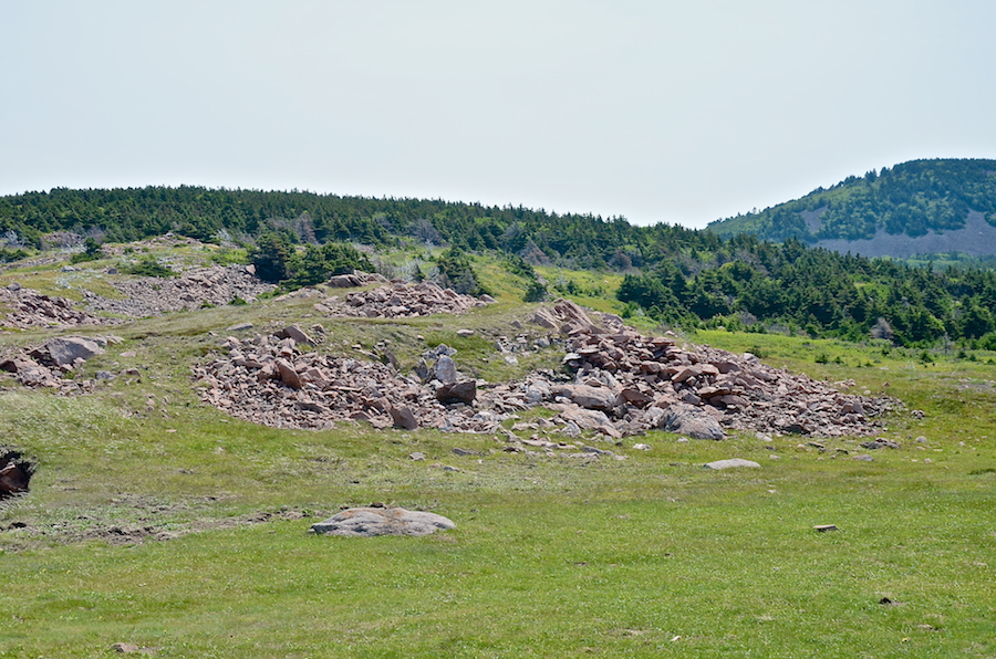 Close-up of the ridge above Cape St Lawrence