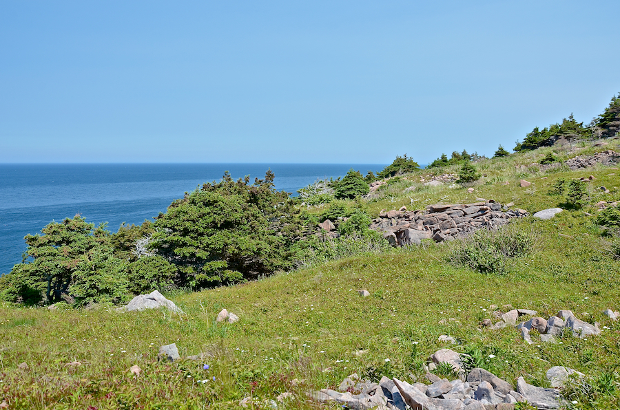 The northern coast at the northwestern end of Cape St Lawrence