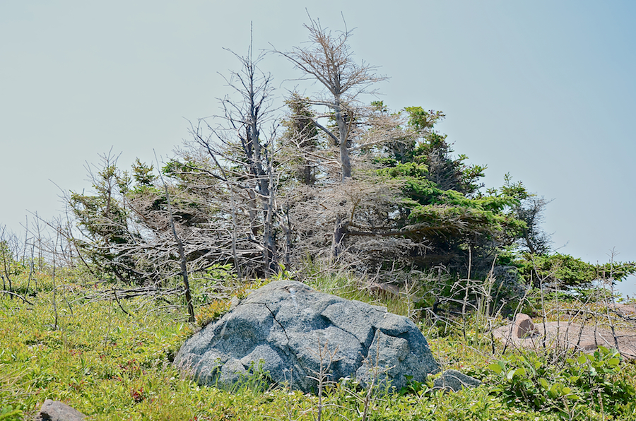 Protection below the ridge