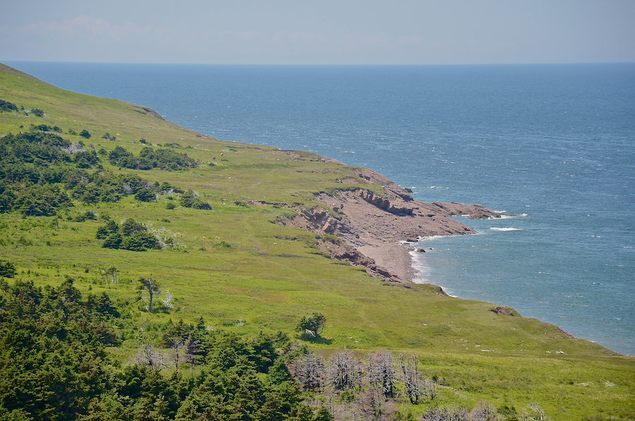 Looking down at the coastal plain from the ridge
