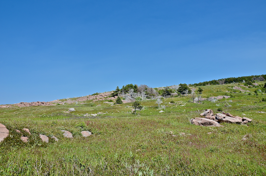 Looking back at the ridge
