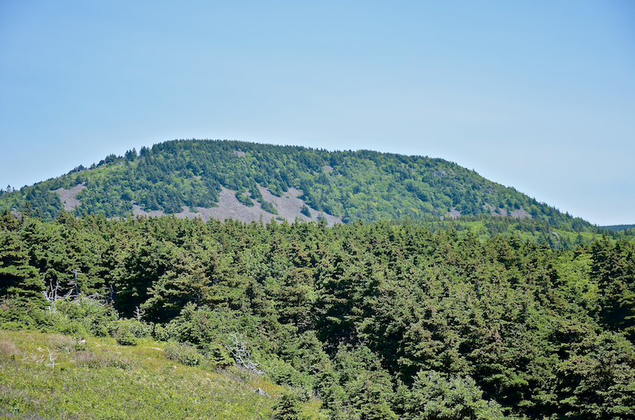 Bear Hill
