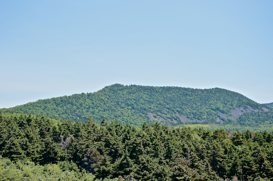 Gray Mountain