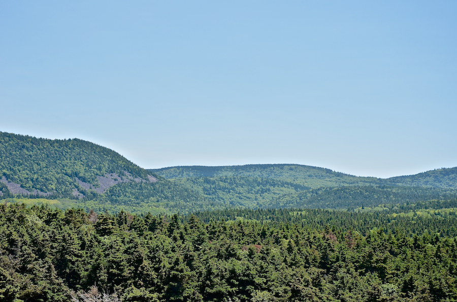 The Highlands above the Lowland Cove Trail