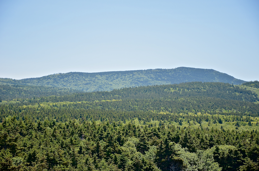 “Lowland Cove Twin Peaks”