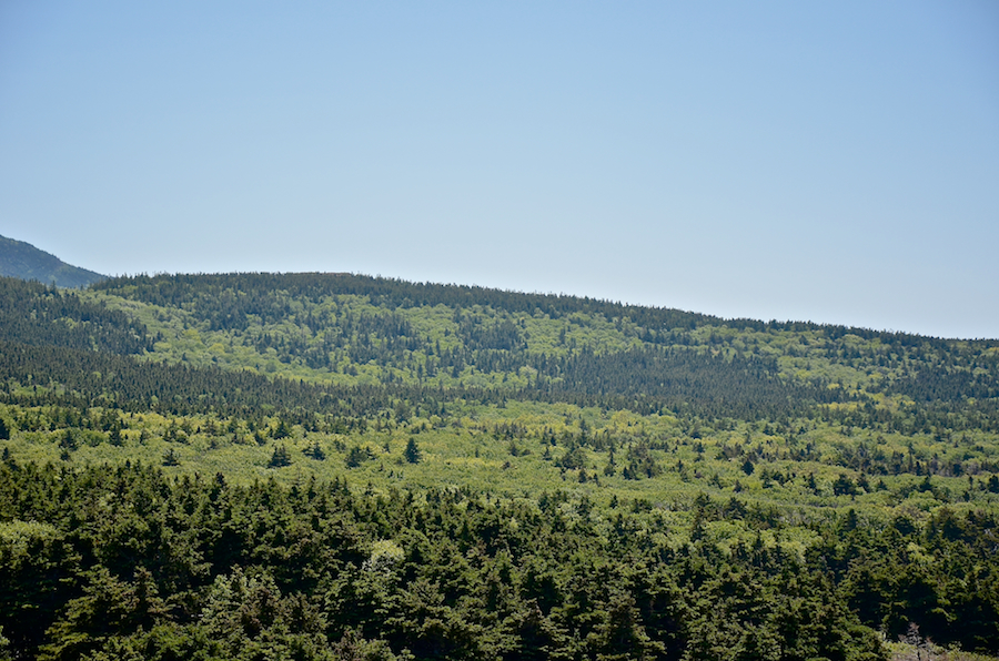 The inland end of “Tittle Hill”