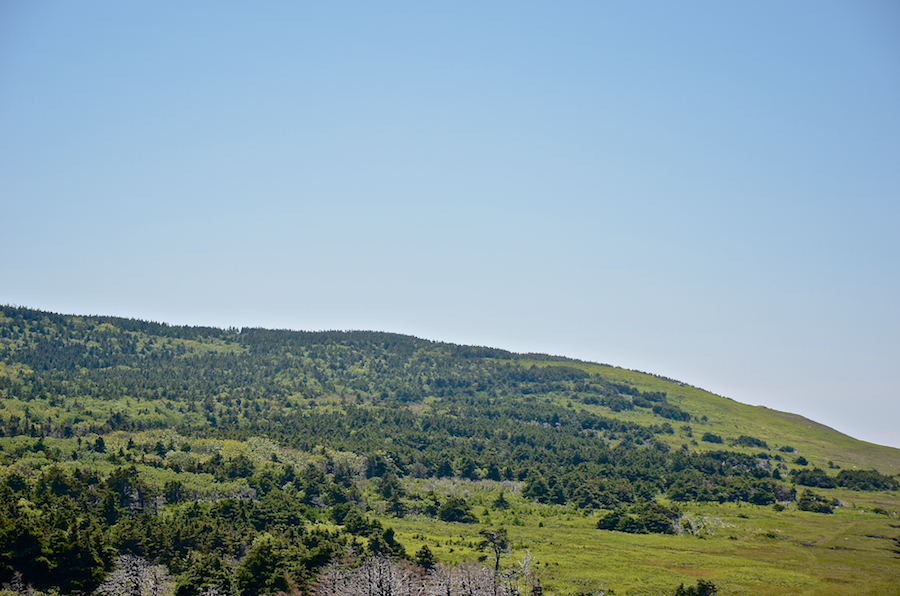 “Tittle Hill” at the coastal plain
