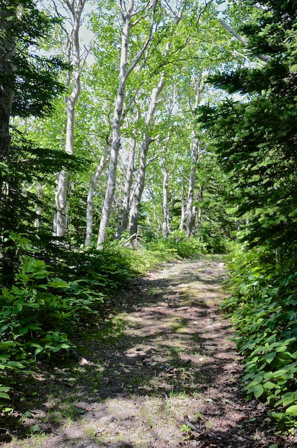 The Cape St Lawrence Trail beyond the escarpment