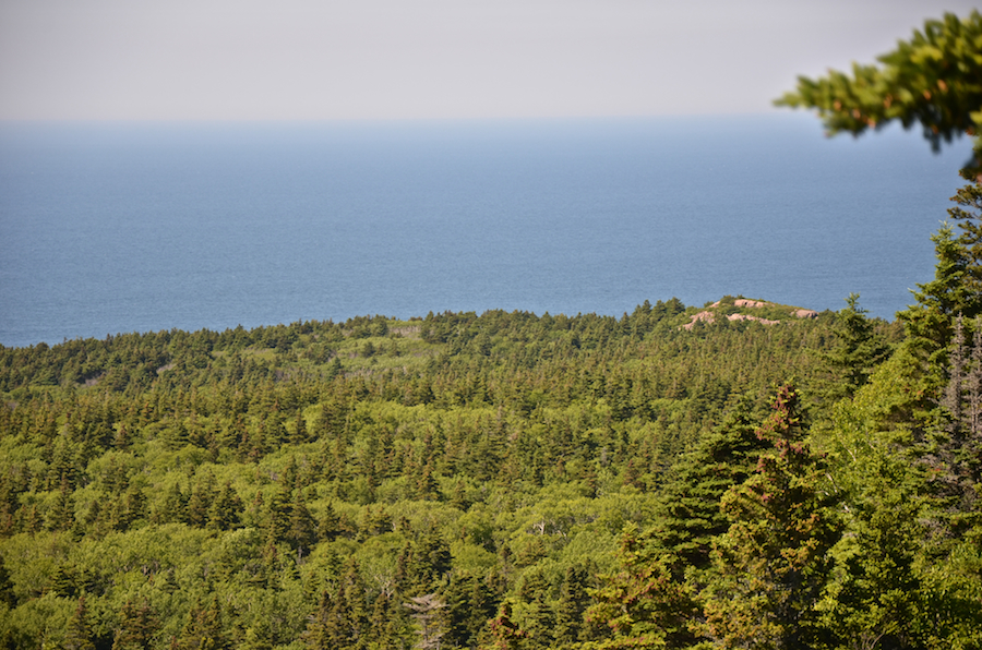 The northern shores of Cape St Lawrence