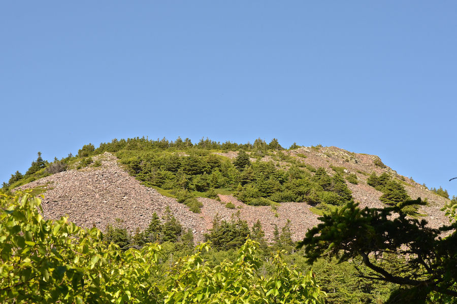 The southwestern end of Bear Hill from the look-off