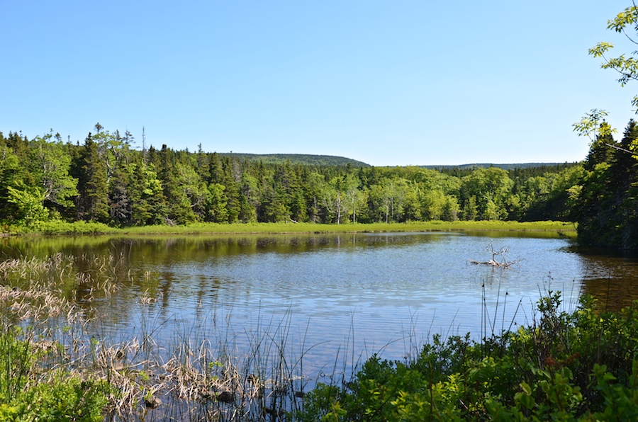The western end of the largest unnamed pond