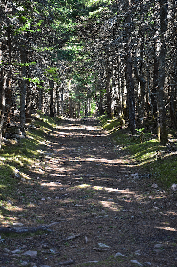 The Cape St Lawrence Trail