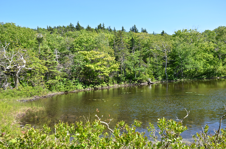 Eastern end of the smallest unnamed pond