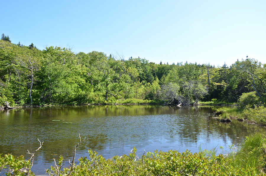 Western end of the smallest unnamed pond