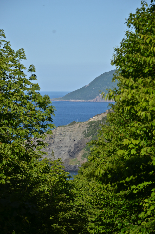 Looking down the Lowland Cove Trail