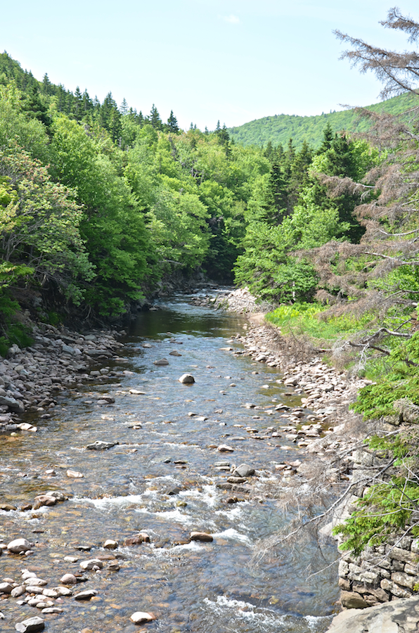 The Salmon River south of the Salmon River Bridge