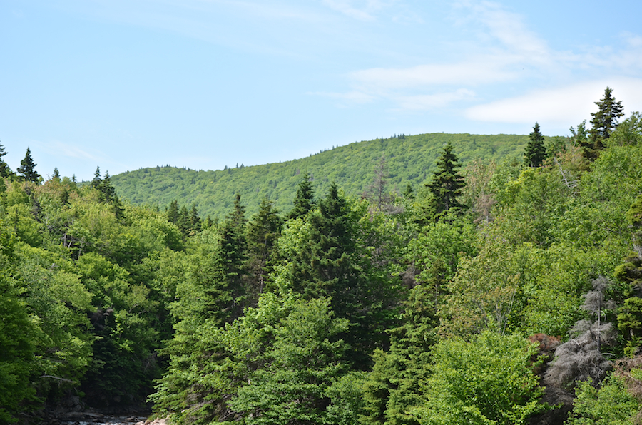 The Cape Breton Highlands above the Salmon River