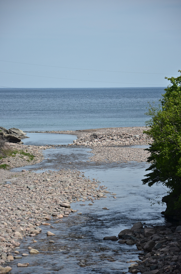 The mouth of the Salmon River