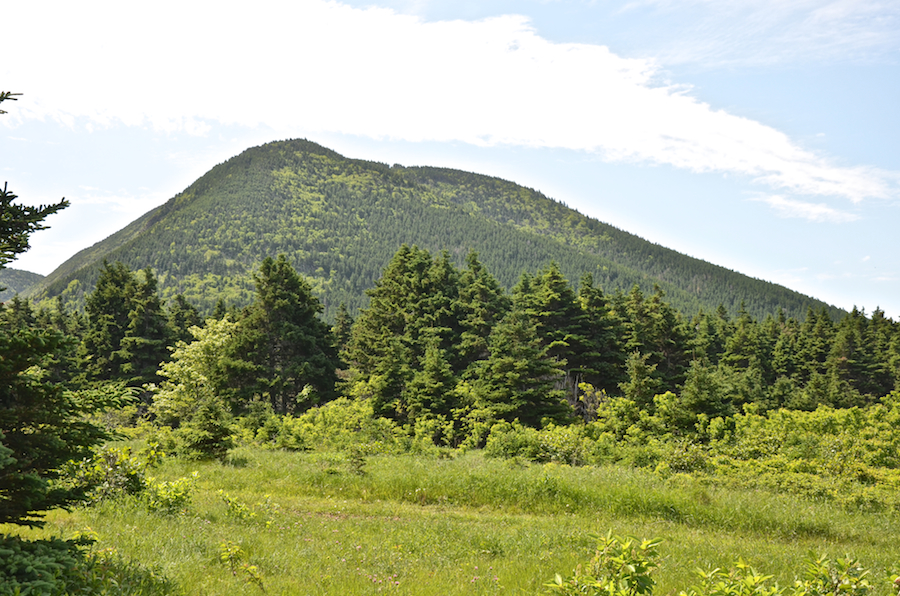 An edge of the Cape North Massif east of the Money Point Road