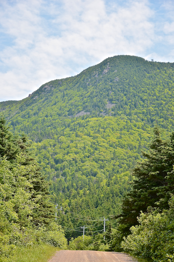 The Cape North Massif rises above the Money Point Road