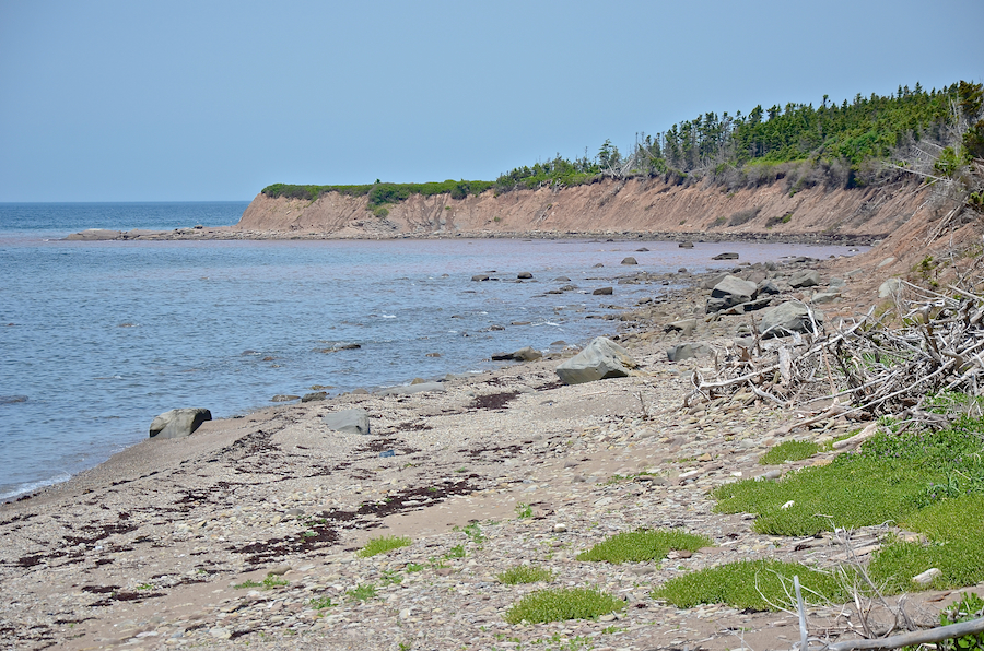 Katies Point